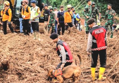 13 Orang Korban Longsor Cibeunying Ditemukan, Bantuan Unit K-9 Percepat Penemuan Korban