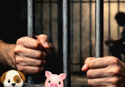 Tahun 2026 Hujatan “Anjing” dan “Babi” Bisa Dikenakan Hukuman, Hati-hati Yah