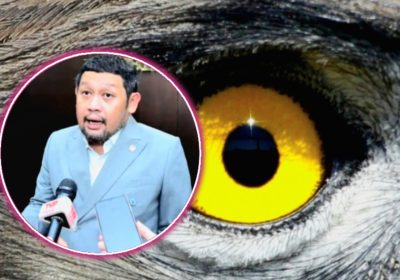 Mata Elang Semakin Meresahkan, DPR RI Desak OJK Hapus Peraturan Penagihan Utang Pihak Ketiga