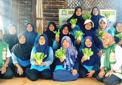 KWT Berkah Dorong Ketahanan Pangan Lewat Pemanfaatan Pekarangan