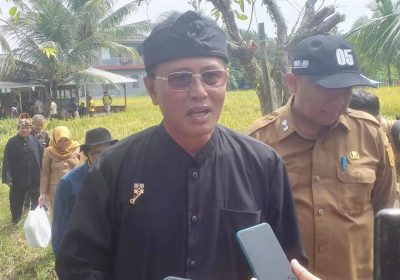 Panen Padi Organik di Jambansari Ciamis Siap Deklarasi Kabupaten Organik