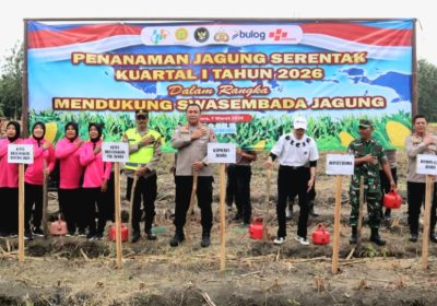 Dukung Swasembada Pangan 2026, Polres Blora Gelar Tanam Raya Jagung Serentak Bersama Kapolri