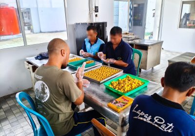 Lapas Pati Kebanjiran Pesanan Nastar Menjelang Lebaran