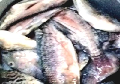Ikan Jadi Pilihan Utama Warga Saat Lebaran Harga Daging Mahal
