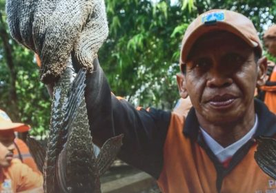 Bahaya Menyantap Ikan Sapu-sapu dari Kali Jakarta