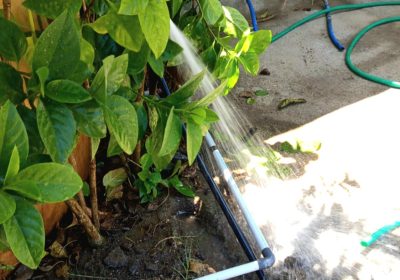 Air PDAM Kini Mengalir di Lendang Trak, Warga dan Pelaku Wisata Sambut AntusiasHarian pelita Lombok Timur