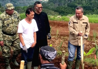 Kadis Pertanian Ciamis Pimpin Penanaman Sorgum Perkuat Ketahanan Pangan