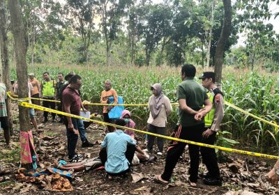 Petani Bogorejo Ditemukan Meninggal di Lahan Jagung Diduga Riwayat Penyakit