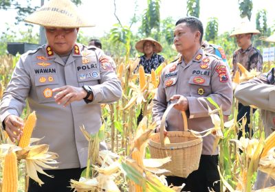 Polres Blora Ikuti Panen Raya Jagung Serentak Kuartal II dan Launching SPPG Polri