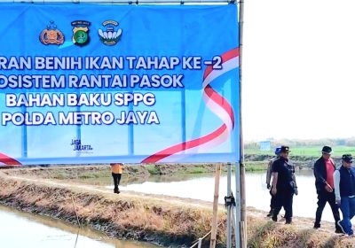 Dukung Ketahanan Pangan, Ditpolairud PMJ Tebar 300 Ribu Benih Udang Windu di  Bekasi