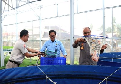 Polda Metro  dan Polres Jakbar Panen 219 Kg Ikan Nila di Greenhouse Palmerah
