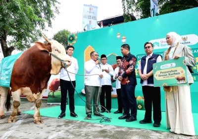 Kembali Gandeng Baznas RI, Shopee Barokah Salurkan Kurban Sapi Limosin