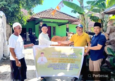 Semangat Berqurban Bupati Lotim Haerul Warisin Salurkan Hewan Qurban Jelang Idul Adha 1447 H